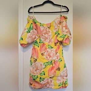 FARM Rio Floral Cashew Mini Dress Size Small